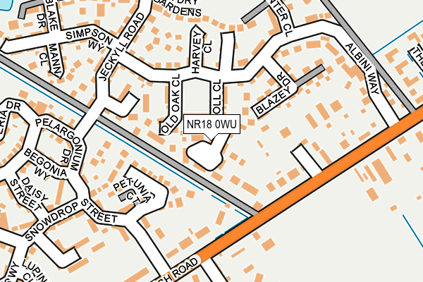 NR18 0WU map - OS OpenMap – Local (Ordnance Survey)