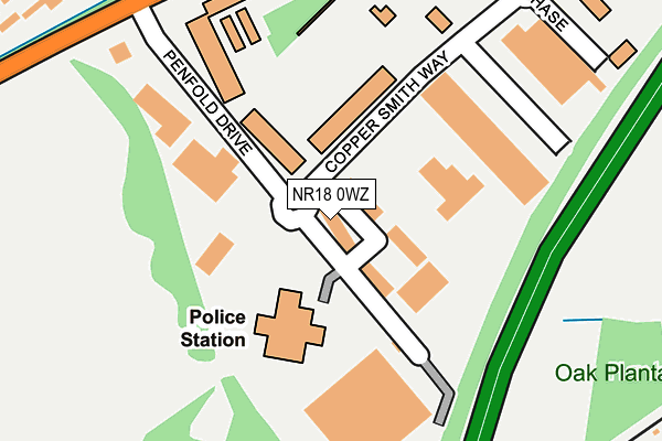 NR18 0WZ map - OS OpenMap – Local (Ordnance Survey)