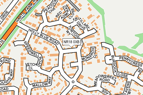 NR18 0XB map - OS OpenMap – Local (Ordnance Survey)