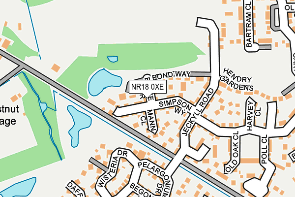 NR18 0XE map - OS OpenMap – Local (Ordnance Survey)