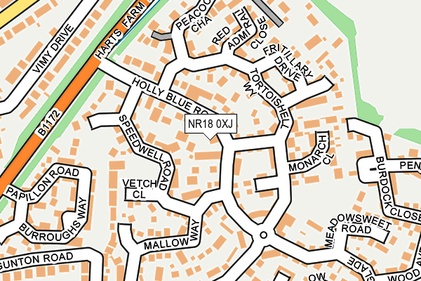 NR18 0XJ map - OS OpenMap – Local (Ordnance Survey)