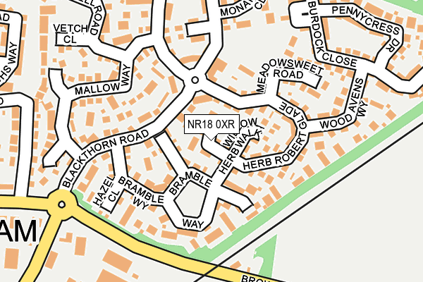 NR18 0XR map - OS OpenMap – Local (Ordnance Survey)