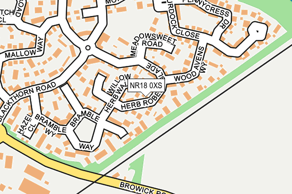 NR18 0XS map - OS OpenMap – Local (Ordnance Survey)