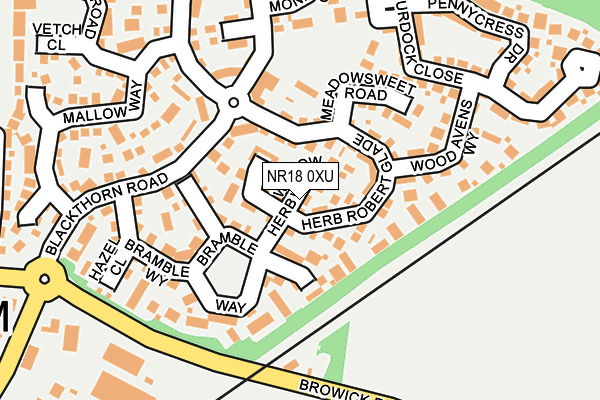NR18 0XU map - OS OpenMap – Local (Ordnance Survey)