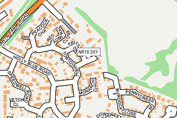 NR18 0XY map - OS OpenMap – Local (Ordnance Survey)