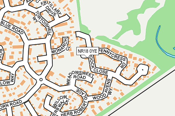 NR18 0YE map - OS OpenMap – Local (Ordnance Survey)