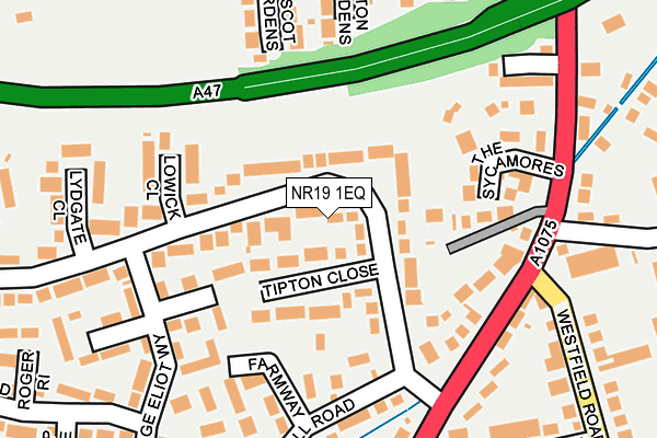 NR19 1EQ map - OS OpenMap – Local (Ordnance Survey)