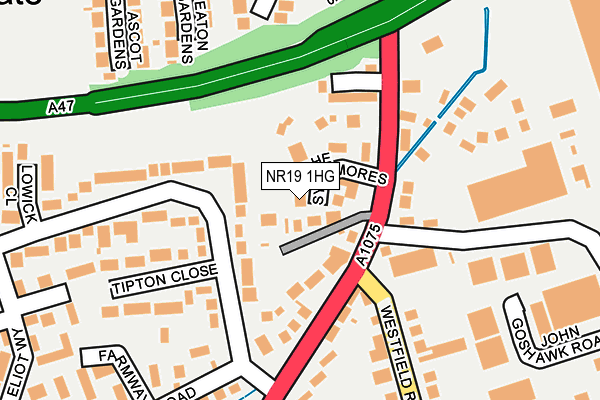 NR19 1HG map - OS OpenMap – Local (Ordnance Survey)