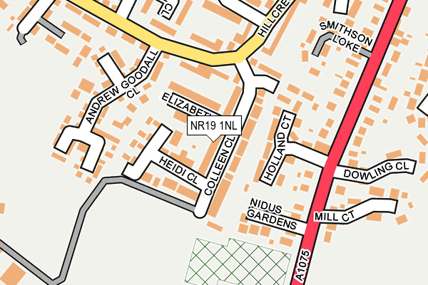 NR19 1NL map - OS OpenMap – Local (Ordnance Survey)
