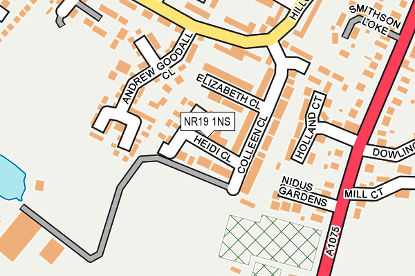 NR19 1NS map - OS OpenMap – Local (Ordnance Survey)