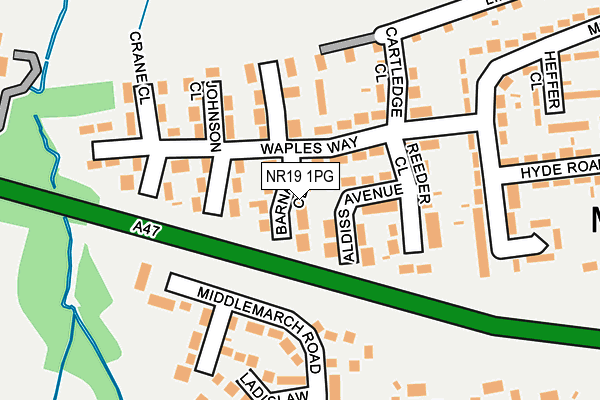 NR19 1PG map - OS OpenMap – Local (Ordnance Survey)