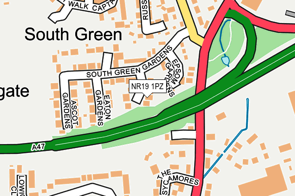 NR19 1PZ map - OS OpenMap – Local (Ordnance Survey)