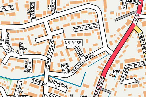 NR19 1SF map - OS OpenMap – Local (Ordnance Survey)