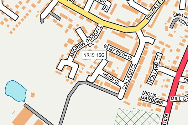 NR19 1SG map - OS OpenMap – Local (Ordnance Survey)