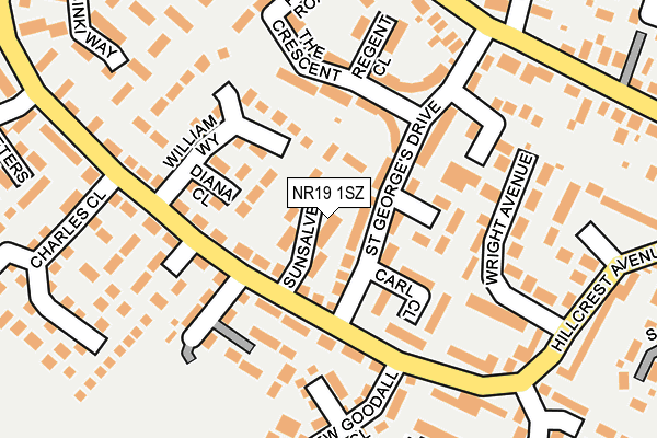 NR19 1SZ map - OS OpenMap – Local (Ordnance Survey)