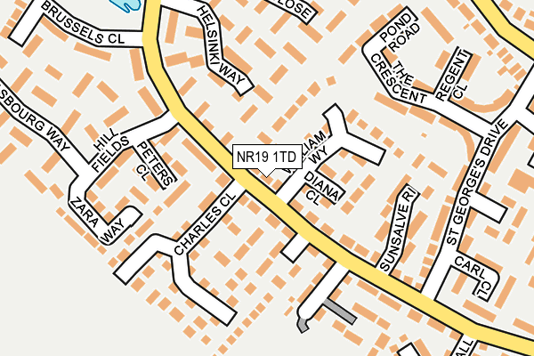 NR19 1TD map - OS OpenMap – Local (Ordnance Survey)
