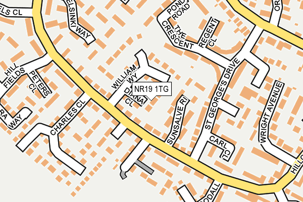 NR19 1TG map - OS OpenMap – Local (Ordnance Survey)