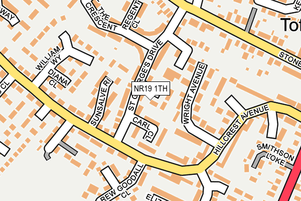 NR19 1TH map - OS OpenMap – Local (Ordnance Survey)