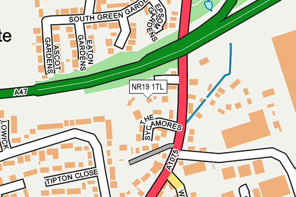 NR19 1TL map - OS OpenMap – Local (Ordnance Survey)
