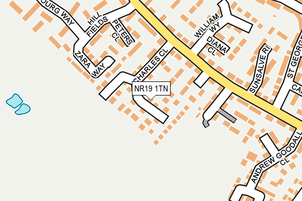 NR19 1TN map - OS OpenMap – Local (Ordnance Survey)