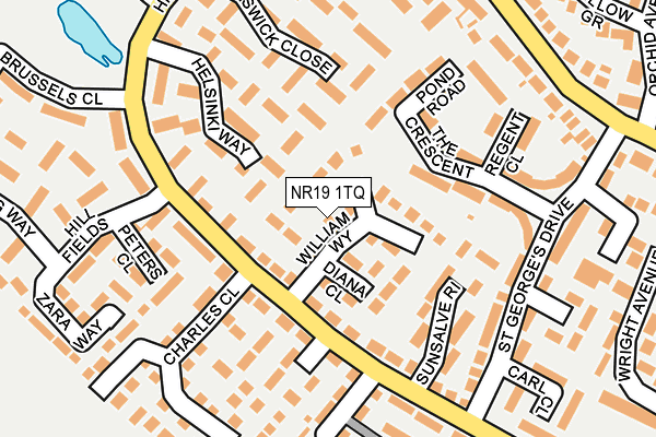 NR19 1TQ map - OS OpenMap – Local (Ordnance Survey)