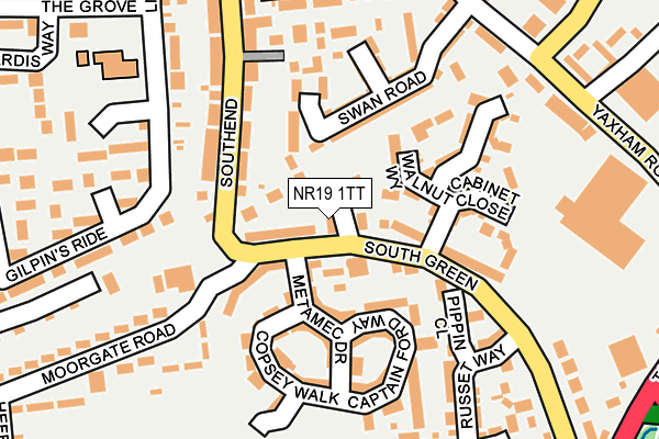 NR19 1TT map - OS OpenMap – Local (Ordnance Survey)