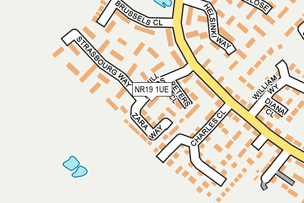 NR19 1UE map - OS OpenMap – Local (Ordnance Survey)