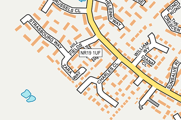 NR19 1UF map - OS OpenMap – Local (Ordnance Survey)