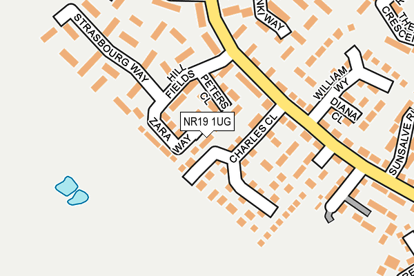NR19 1UG map - OS OpenMap – Local (Ordnance Survey)