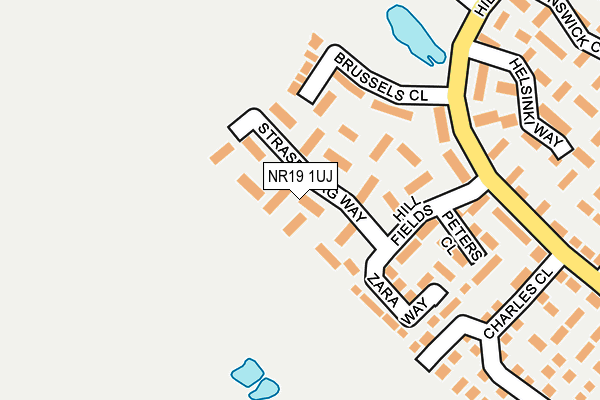 NR19 1UJ map - OS OpenMap – Local (Ordnance Survey)
