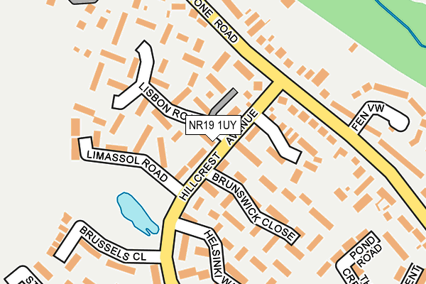 NR19 1UY map - OS OpenMap – Local (Ordnance Survey)