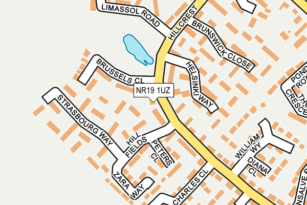 NR19 1UZ map - OS OpenMap – Local (Ordnance Survey)