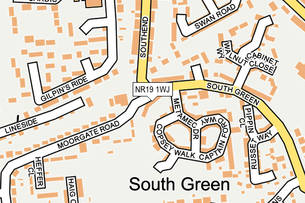NR19 1WJ map - OS OpenMap – Local (Ordnance Survey)