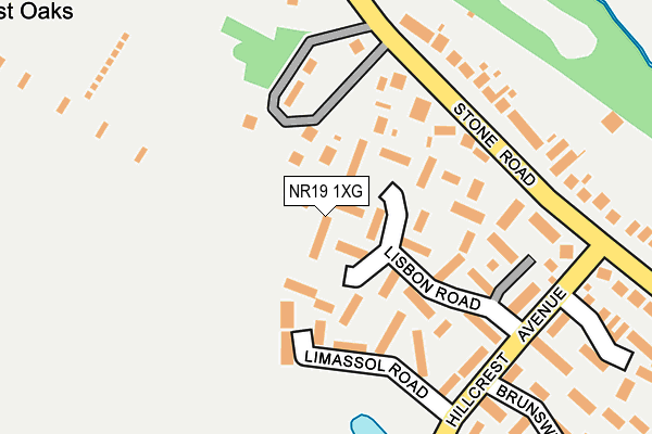 NR19 1XG map - OS OpenMap – Local (Ordnance Survey)