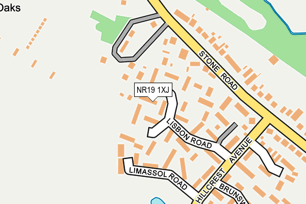 NR19 1XJ map - OS OpenMap – Local (Ordnance Survey)