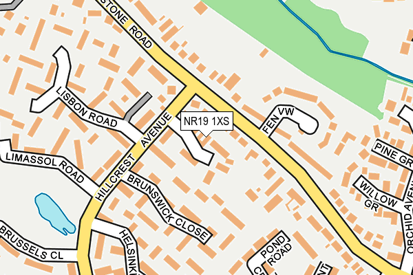 NR19 1XS map - OS OpenMap – Local (Ordnance Survey)