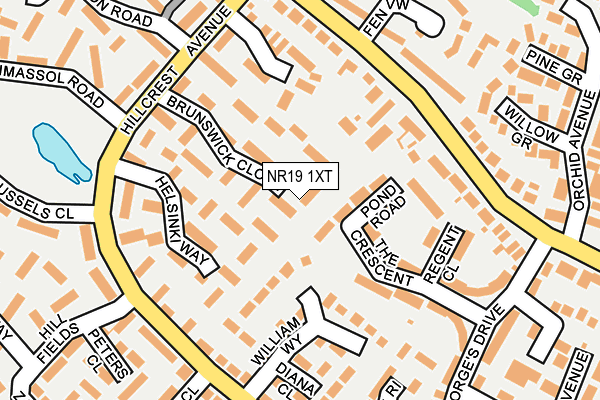 NR19 1XT map - OS OpenMap – Local (Ordnance Survey)