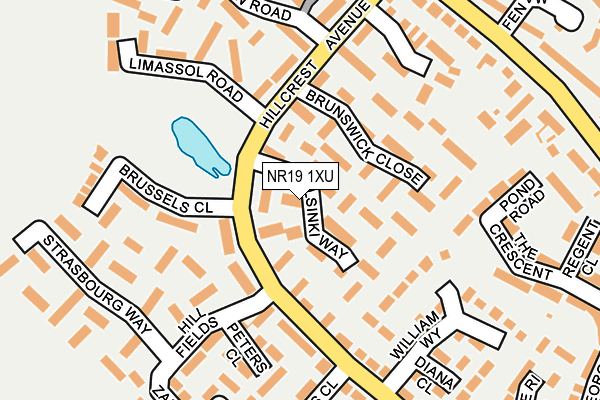 NR19 1XU map - OS OpenMap – Local (Ordnance Survey)
