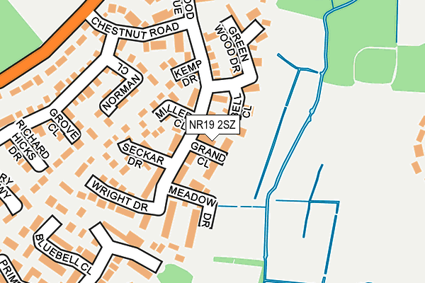 NR19 2SZ map - OS OpenMap – Local (Ordnance Survey)