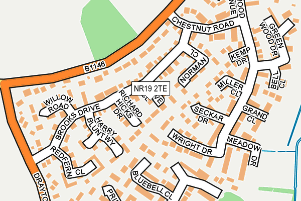 NR19 2TE map - OS OpenMap – Local (Ordnance Survey)