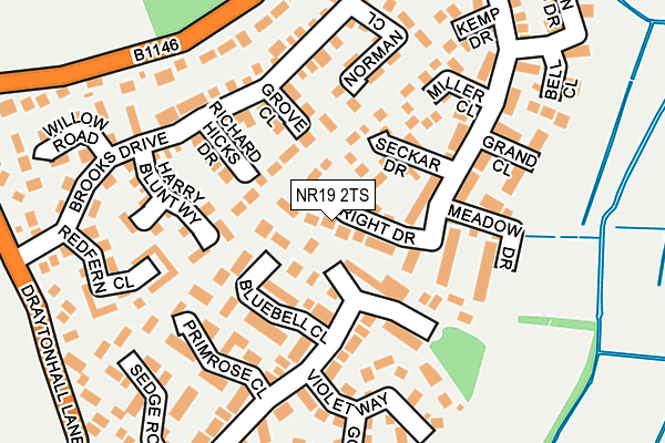NR19 2TS map - OS OpenMap – Local (Ordnance Survey)