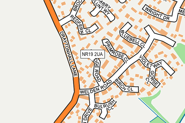 NR19 2UA map - OS OpenMap – Local (Ordnance Survey)