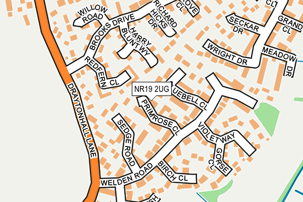 NR19 2UG map - OS OpenMap – Local (Ordnance Survey)