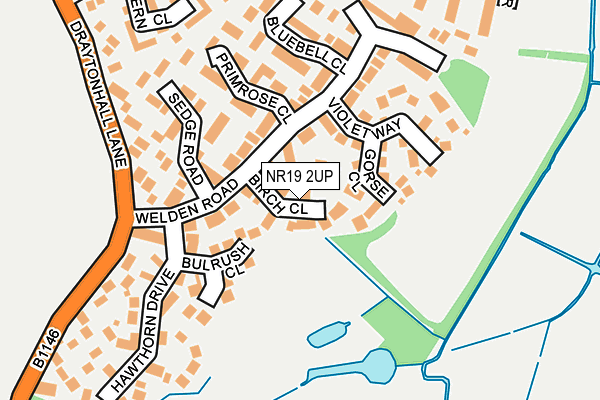 NR19 2UP map - OS OpenMap – Local (Ordnance Survey)