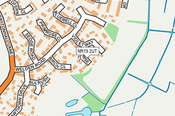 NR19 2UT map - OS OpenMap – Local (Ordnance Survey)