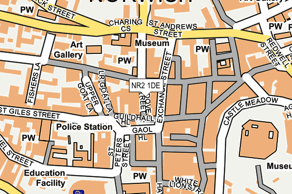 NR2 1DE map - OS OpenMap – Local (Ordnance Survey)
