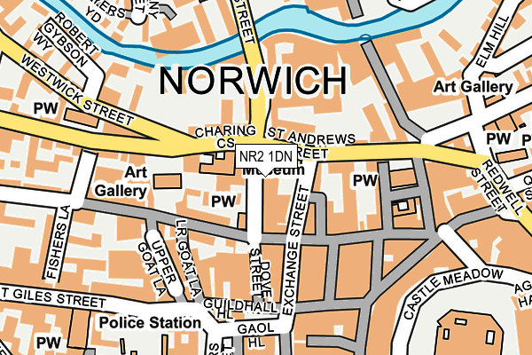 NR2 1DN map - OS OpenMap – Local (Ordnance Survey)