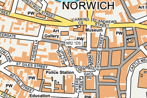 NR2 1DS map - OS OpenMap – Local (Ordnance Survey)