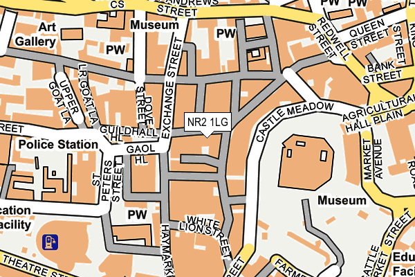 NR2 1LG map - OS OpenMap – Local (Ordnance Survey)
