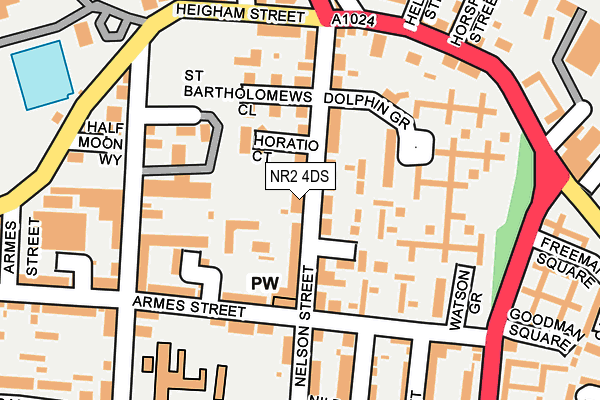 NR2 4DS map - OS OpenMap – Local (Ordnance Survey)